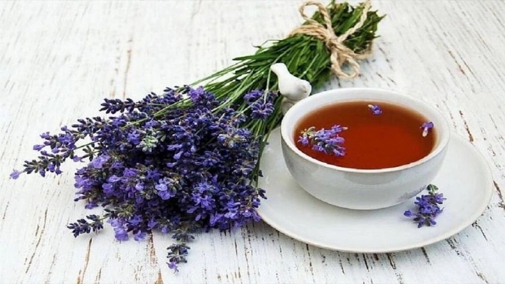 Red گل، تولید و فروش فندق و مغز فندق در گیلان