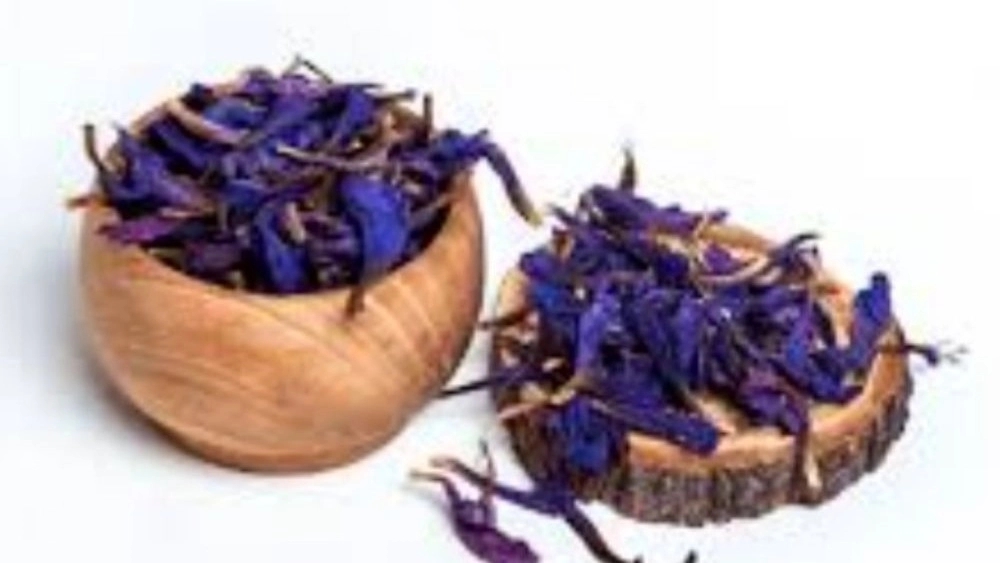 گل گاو زبان