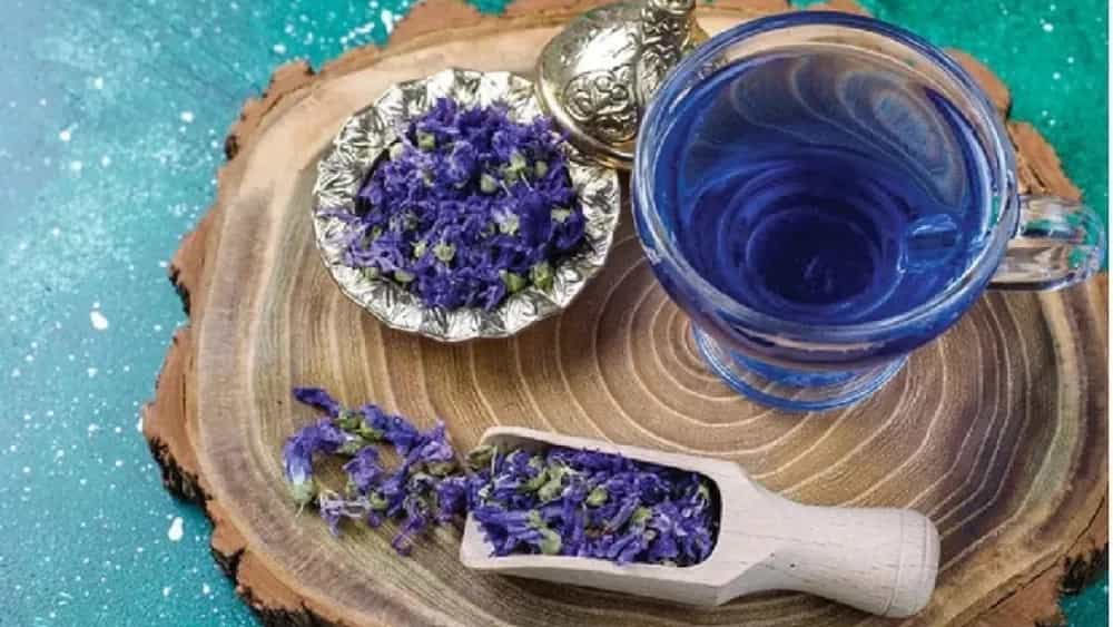 فواید دمنوش گل‌ گاو‌زبان برای اعصاب و روان