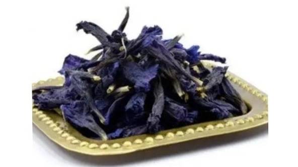 گل گاو زبان گل گاو زبان