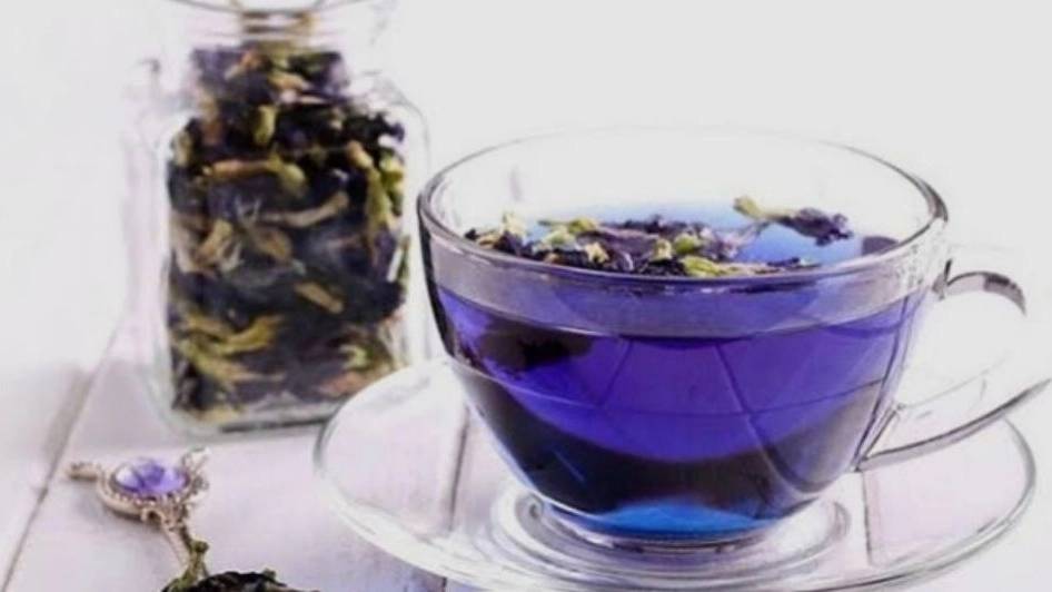 گل گاو زبان گل گاو زبان